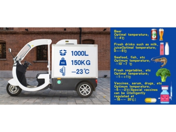 Motocarro elettrico a tre ruote di trasporto refrigerato