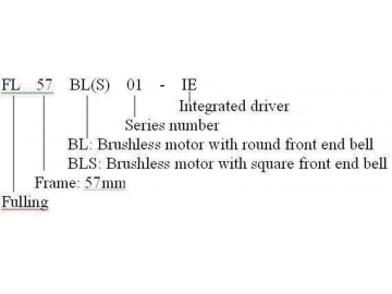 Motore senza spazzole (brushless) 57mm con driver interno