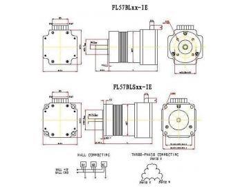 Motore senza spazzole (brushless) 57mm con driver interno