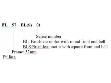 Motore senza spazzole (brushless) 57mm