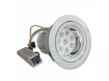 LED Downlight 8x3W