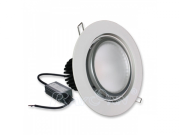 LED Downlight 30W