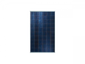 Polycrystalline Solar Module