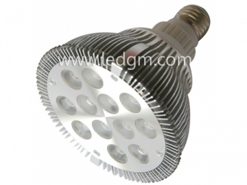 Luce PAR38ad alta luminosità 12*2W